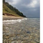 Deb Johnson-Hillman's photo