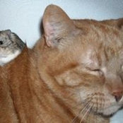 Ginnie Ford's photo