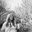 Sarah Mitchenall Interiors & Gardens