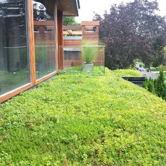 SKYSPACE Green Roofs