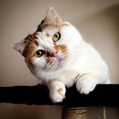 Zoe Lee's photo