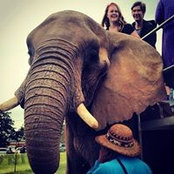 Jaclyn Knierim's photo