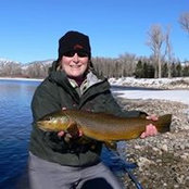 Dawn Morrell's photo