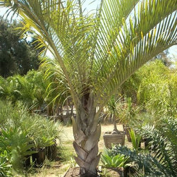 Nursery Products - Outdoor Pots And Planters