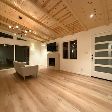 Living Room / Fireplace