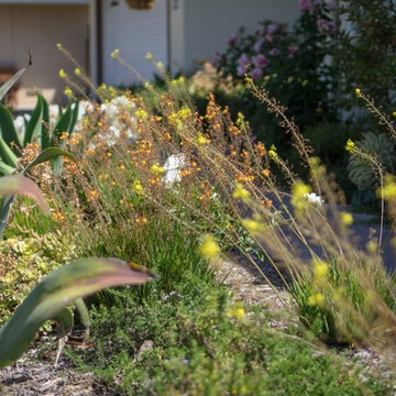 Costa Mesa