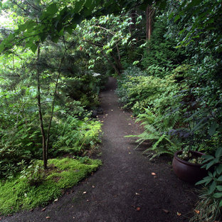 Mittelgroßer, Schattiger, Geometrischer Eklektischer Kiesgarten im Frühling, hinter dem Haus mit Gartenweg in Seattle