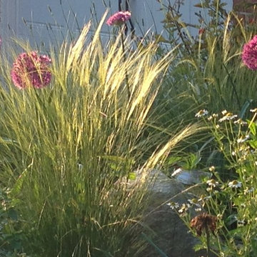 Herb garden