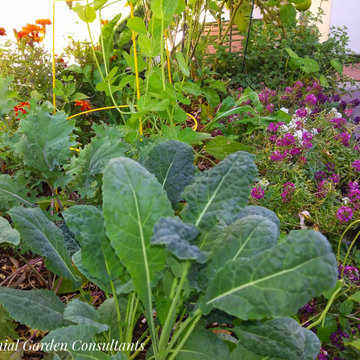 Small Space Vegetable Garden