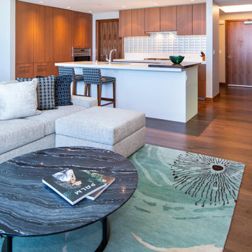 Luxury Condominium / Honolulu, Hawaii : 03