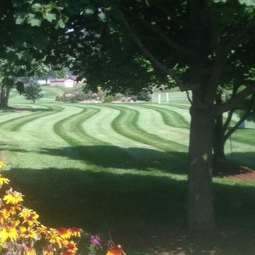 Our Lawn Maintenance