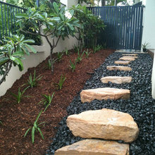 lynn_sharpe's Ideas
