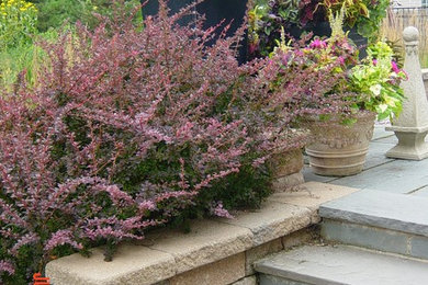 Photo of a landscaping in Chicago.