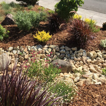 Dry Creek Bed Planting