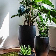 Greens