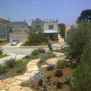 Drought tolerant / natural landscape