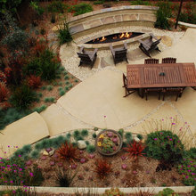 back yard