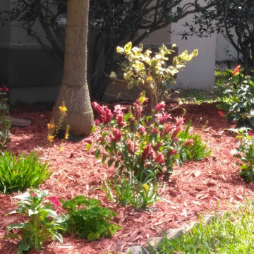 Butterfly Habitat / ITC tree care