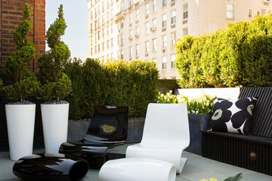 This is an example of a contemporary landscaping in New York.