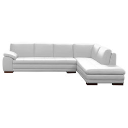 Modern Sectional Sofas by J&M Furniture