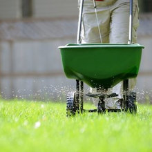 5 Ways to Keep Your Yard Looking Good During the Winter