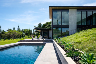 Pool - modern pool idea in Hawaii