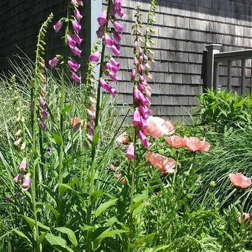 SPRING GARDENS