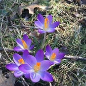 Holly Adams's photo