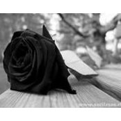 Bere Pazoss's photo