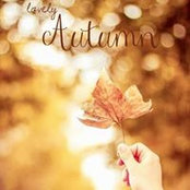 Lisa Carter's photo