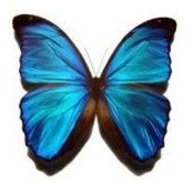 Tisha Buchanan's photo