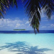 Foto di Ashtoe