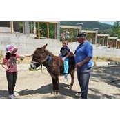 Sorin Lecusescu's photo