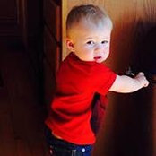 Kelly Ryan-Sheffler's photo
