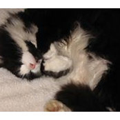 Sharon Mills's photo