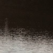 Karin Nicklas's photo