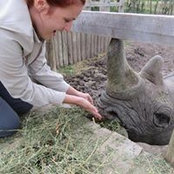 Cara Gaver's photo