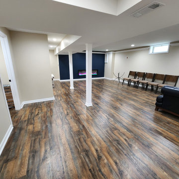 Basement Finish with Full bathroom addition and Office