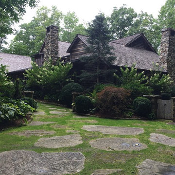 The Abe Woodlands
