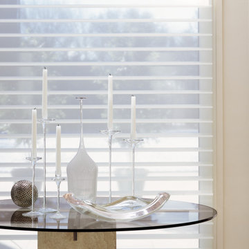 Window Treatment Examples