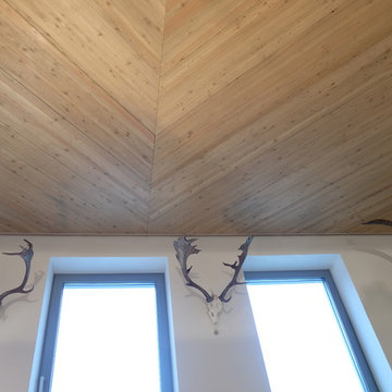 Jagdzimmer; Decke, Wandregal und Theke