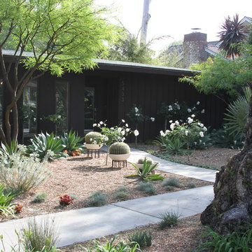 Mid-Century Modern - Park Estates