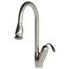 Dowell Series 8002/011 Single Handle Kitchen Faucet/Sprayer, Brushed Nickel