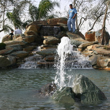 Pools and landscaping