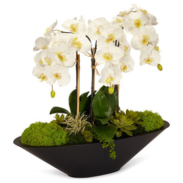 Orchid in Large Metal Boat, White