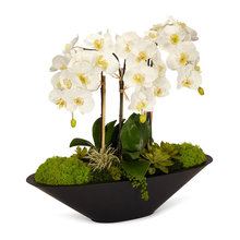 Flores