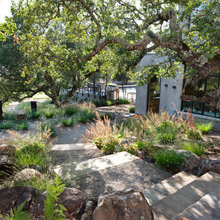 Landscape Design