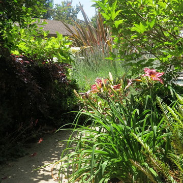 Hayward Residence - Lead Designer on Project while at GSM