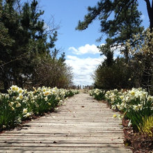 Boardwalk