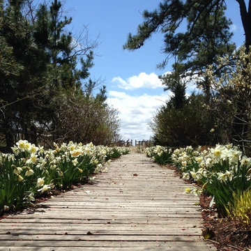 Spring Beach Boardwalk